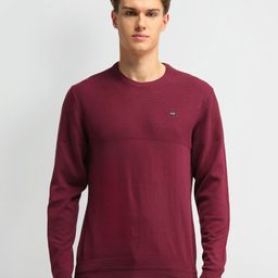 Arrow Sport Men Brand Logo Self Design Pullover-image-94