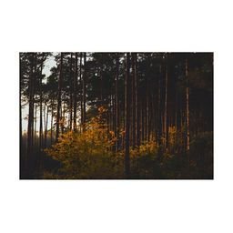 Inephos Brown & Black Printed Canvas Wall Art-image-67