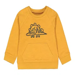 mothercare Boy Printed Round Neck Long Sleeves Pullover Sweatshirt-image-72