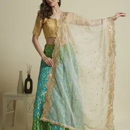 Dupatta Bazaar Embroidered Organza Dupatta with Sequinned-9