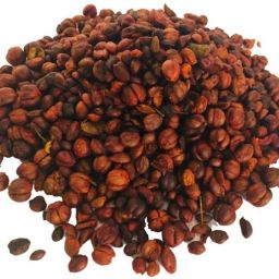 Mal Kangani Seed-image-81