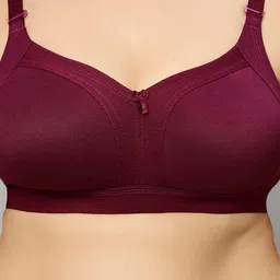 Bluenixie Full Coverage Bra With All Day Comfort image 5