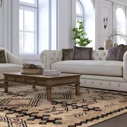Sapana Carpet-Mats Beige Traditional No Shredding Polypropylene Carpet-picture-15