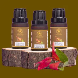 ULLASSA Set Of 3 Natural Eucalyptus Essential Oil - 10 ml Each-19