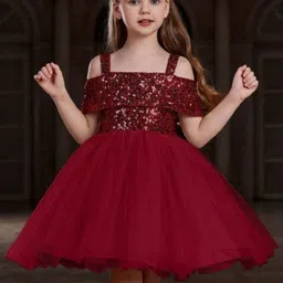 Vani Enterprise Embellished Net Fit & Flare Dress-image-42