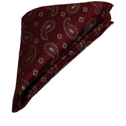 VOICI Printed Square Coat Pocket Squares-image-93