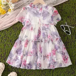 BAESD Net A-Line Dress image 4
