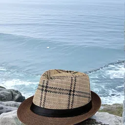 Infispace Men Checked Fedora Hat-image-89