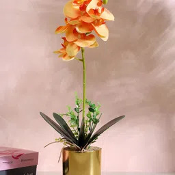 HOME 360 Orange 1 Pieces Orchid Artificial Plant With Pot-16
