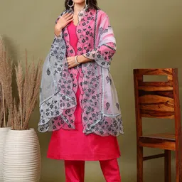Sangria Mirror Embroidered Dupatta-picture-21