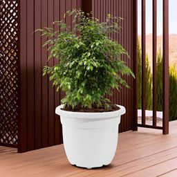 Myntra Elegant Homes White Pluto-Shaped Portable Planter With Removable Wheels-6