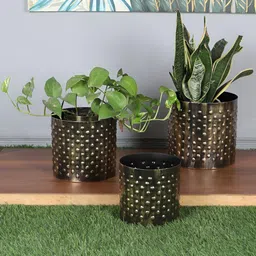 Amaya Decors 3-Pcs Black & Yellow Dot Hammred Planter-43