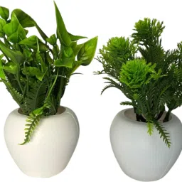Bonsai Wild Artificial Plant with Pot Set of 2 Green (13 cm) Bonsai Artificial Plant with Pot-3