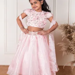 Li'l Angels Girls Embellished Beads and Stones Ready to Wear Lehenga & Blouse With Dupatta-picture-53