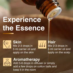 Mommyveda Set Of 3 Ajwain, Lemon & Clove Essential Oil - 10 ml & 15 ml Each image 4