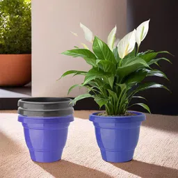 Kuber Industries Blue 4 Pieces Hanging Alstroemeria Aloe Vera Artificial Flower With Pot-40