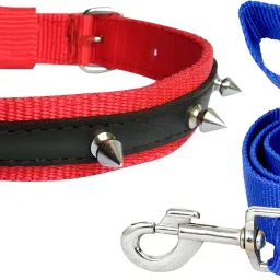 Dog Collar & Leash-image-84