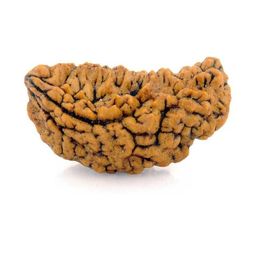RAVIOUR LIFESTYLE Unisex Brown Pendant-image-47