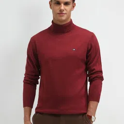 Arrow Sport Men Turtle Neck Long Sleeves Pullover Sweaters-image-31