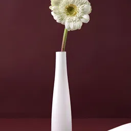 Aura White Cylindrical Shaped Glass Flower Vase-21