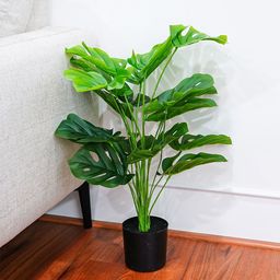 Ekhasa Green Monstera Deliciosa Artificial Plant With Pot-image-31