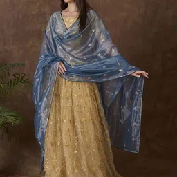 Dupatta Bazaar Embroidered Dupatta with Sequinned-50