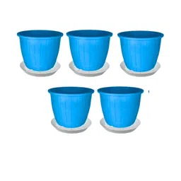 8 Inch Duro Pot for Plants with Saucer Tray-image-84