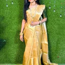 VILLAGIUS Woven Design Zari Tissue Banarasi Saree-image-46