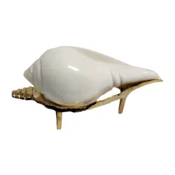 Brass Shankh Stands, jal shankh, Shankh for Pooja (Small size) (pack of 1) Sacred Shankh-26