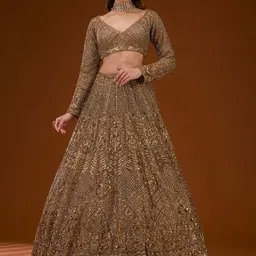 Koskii Embellished Beads and Stones Ready to Wear Lehenga & Blouse With Dupatta-picture-16