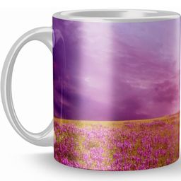Gift4You Cermaic Cups-picture-20