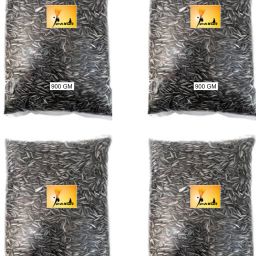 Small size Strip Sunflower seeds 4 pack 3.6 kg Dry New Born, Young, Adult Bird Food-image-19