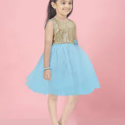 BAESD Net Fit & Flare Dress image 3