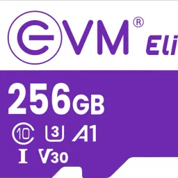 EVM MEMORY CARD 256 GB TF Card Class 10 100 MB/sMemory Card-23