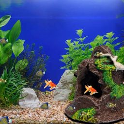 Aquarium Broken Bell-Shaped Ornament for Fish Shelter Hiding Spot Area Decor Laterite Unplanted Substrate-16