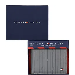 Tommy Hilfiger Men Striped Leather Two Fold Wallet-51