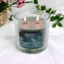 HOSLEY Grey 1 pieces Jar Candle-image-26