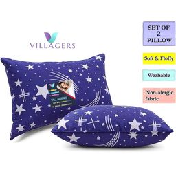 VILLAGERS Set of 2 Blue Polyester Pillows-image-57