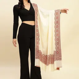 WEAVERS VILLA Women Ethnic Motifs Woven Design Shawl-picture-53