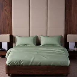 Mulberry Living Green King Bedsheet with 2 Pillow Covers-picture-15