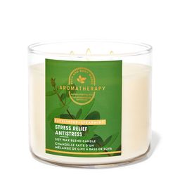 Bath & Body Works Eucalyptus Spearmint 3-Wick Scented Candle - 411g-image-88