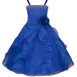 Wish little Net A-Line Maxi Dress-18