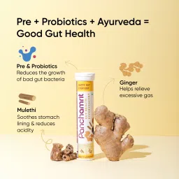 panchamrit Gut Health Effervescent 40 Tablets| Colon Cleanse & Improves Digestion image 4