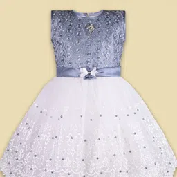 Wish Karo Embellished Embroidered Net Fit & Flare Dress-picture-10