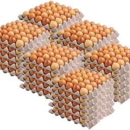 dsom Egg holder Egg Holder-picture-13