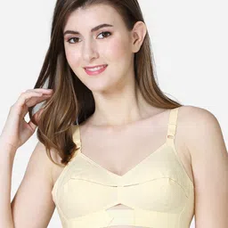 VStar Nude-Coloured Non Padded Non-Wired Everyday Bra-QUEEN-B-SKIN-image-73