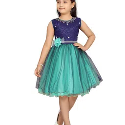BAESD Girls Self Design Applique Fit & Flare Dress-picture-56