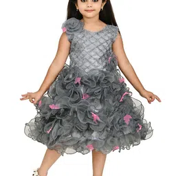 carrydreams Girls Floral Print Net Fit & Flare Dress-picture-56