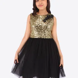 CUTECUMBER Embellished Net Fit & Flare Dress-image-61