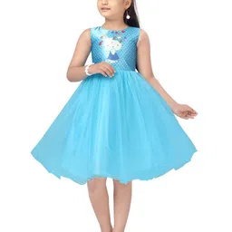 BAESD Girls Graphic Printed Net Fit & Flare Dress-picture-15